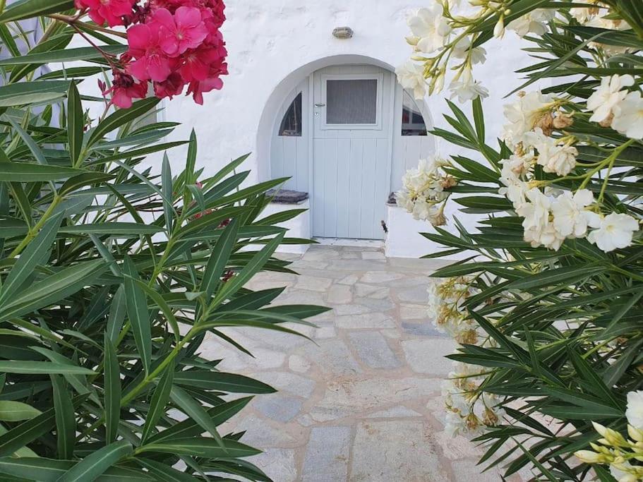 Beautiful Seaside House On The Apartment *